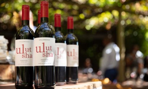 Delheim Estate/PYDA learning partnership leads to uLutsha birth Young graduates launch their own wine brand