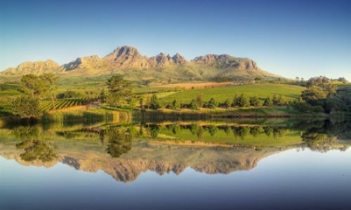 Showcase of excellence awaits at Wine Town Stellenbosch