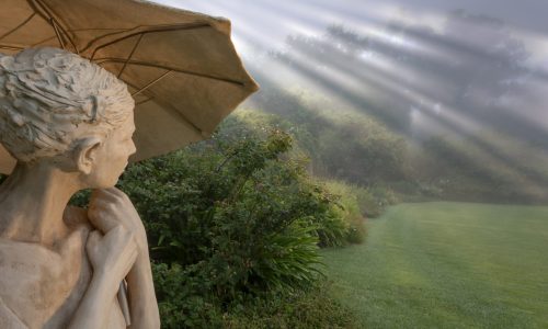 Tokara Rare Plant Fair and Autumn Open Garden 2023