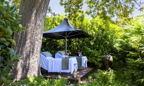 Create magical moments in Constantia