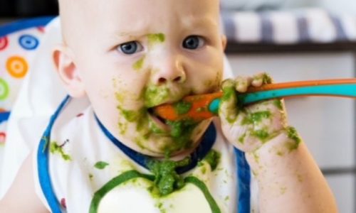 Trendy Feeding Giveaway