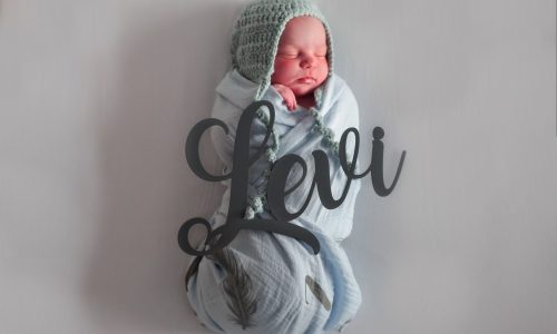 The Birth Story of Levi