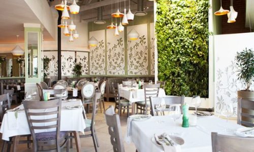 A CULINARY WORKSHOP WITH THE FLAVOUR ACADEMY BY CAFÉ DEL SOL