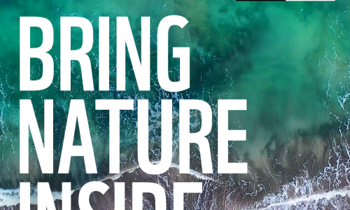 WWF SA SOUNDSCAPE PLAYLIST BRINGS NATURE INSIDE