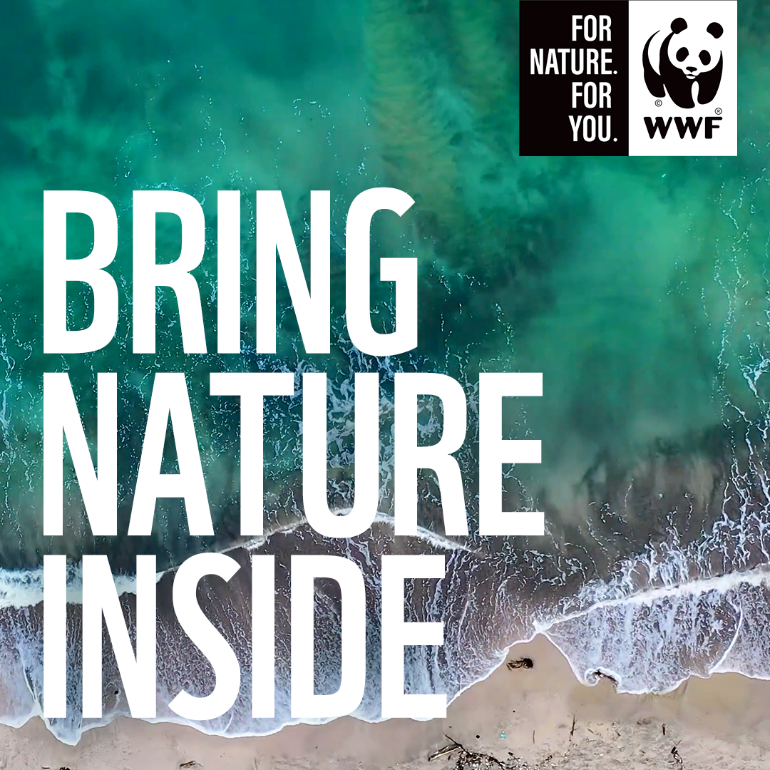 You are currently viewing WWF SA SOUNDSCAPE PLAYLIST BRINGS NATURE INSIDE