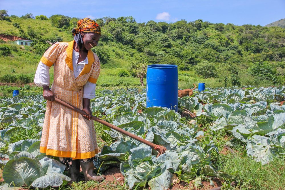 KwaZulu-Natal community and medical staff benefit from the Beiersdorf International Aid Program