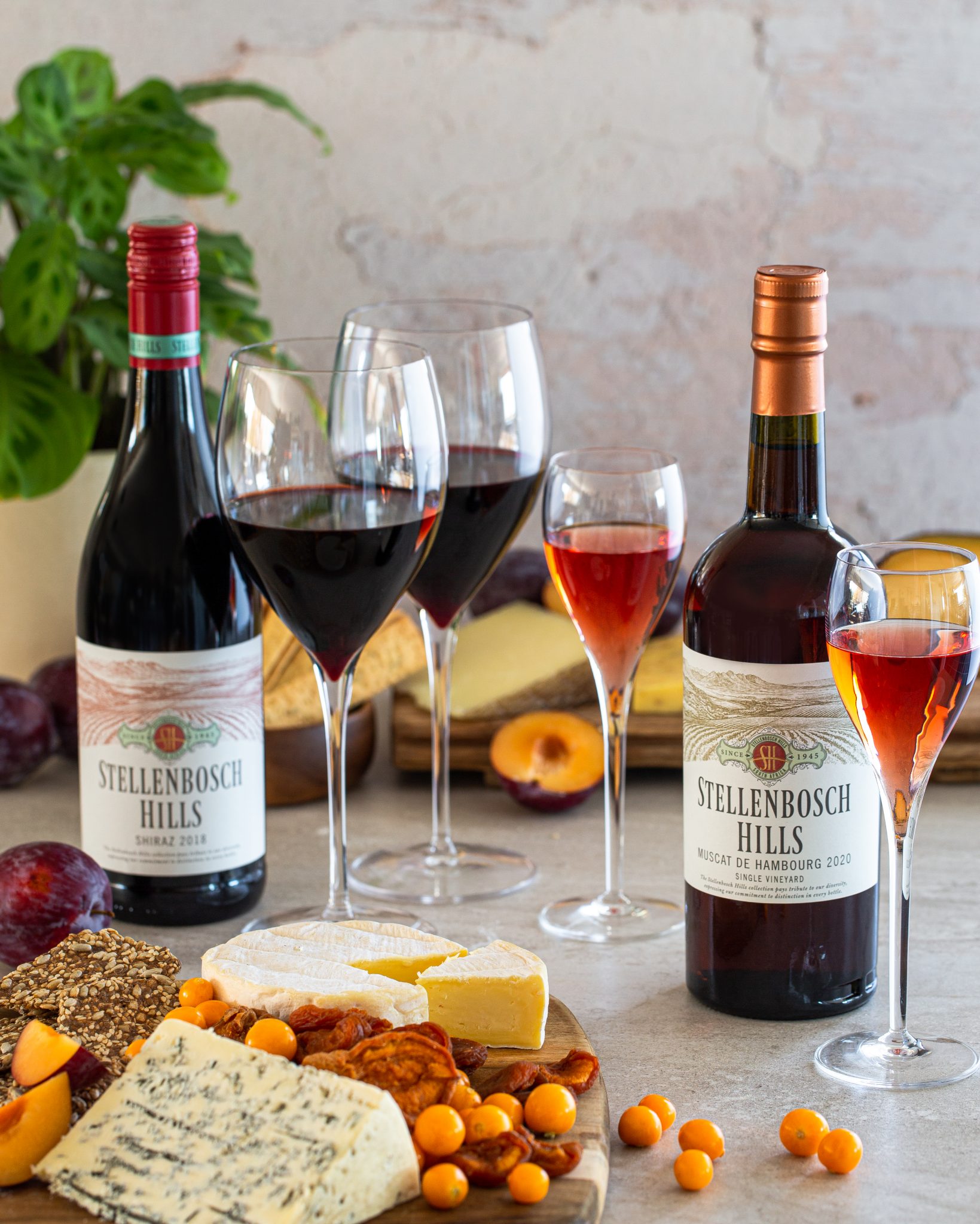You are currently viewing Re-discover the quintessential pairing at Stellenbosch Hills