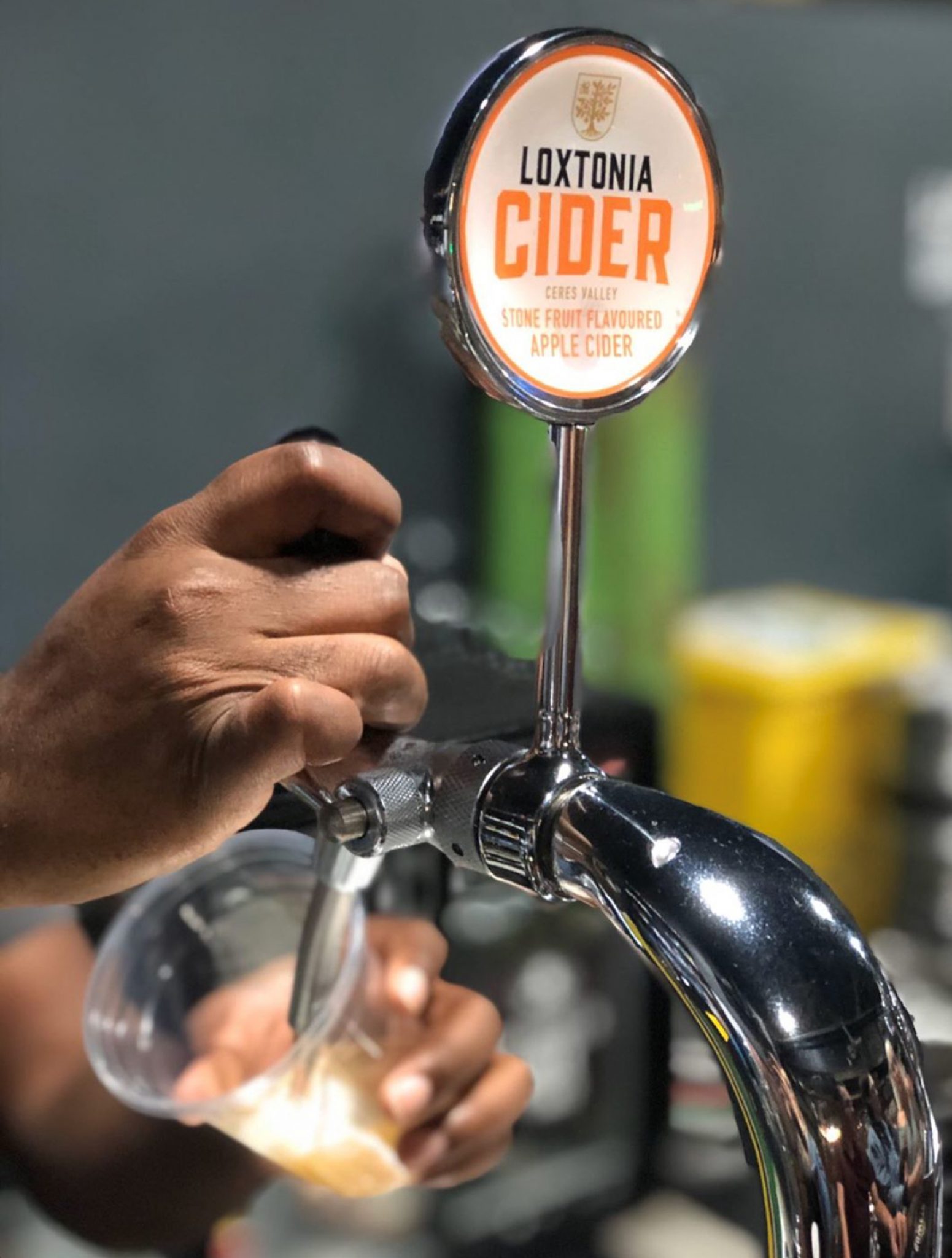 You are currently viewing Loxtonia Cider on tap at your favourite watering hole