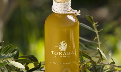 Tokara 2022 olive harvest of abundance and flavours galore￼