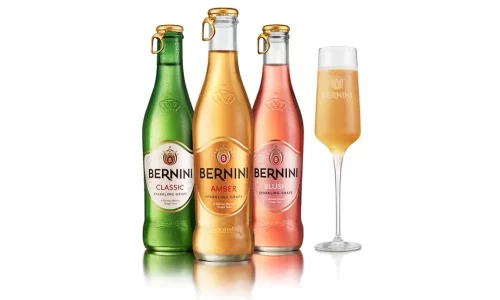 SHOW UP, GLOW UP, AND STEP UP YOUR CAREER WITH BERNINI