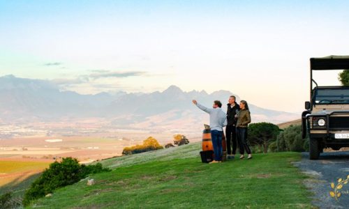 Discover Tokara’s Moss Garden during Garden Town Stellenbosch