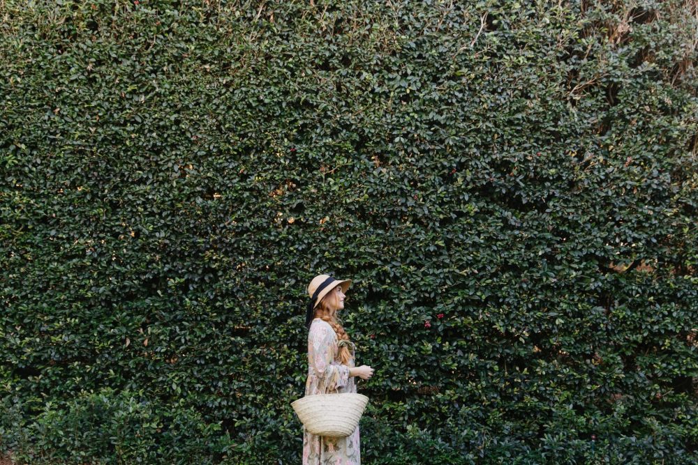 Stellenbosch throws open its doors for&nbsp;Garden Town 2022