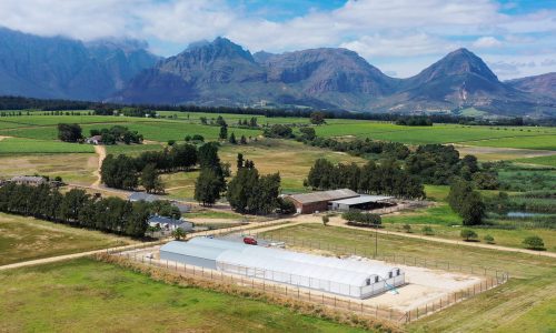 EMPOWERMENT PROJECT SEES NEDERBURG GROW ITS OWN LUNCH 