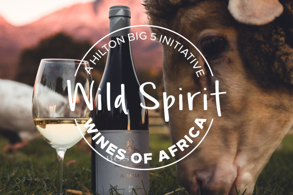 Hilton Reinforces Commitment to Sustainability and Local Craftsmanship with the Launch of Wild Spirit Wines of Africa