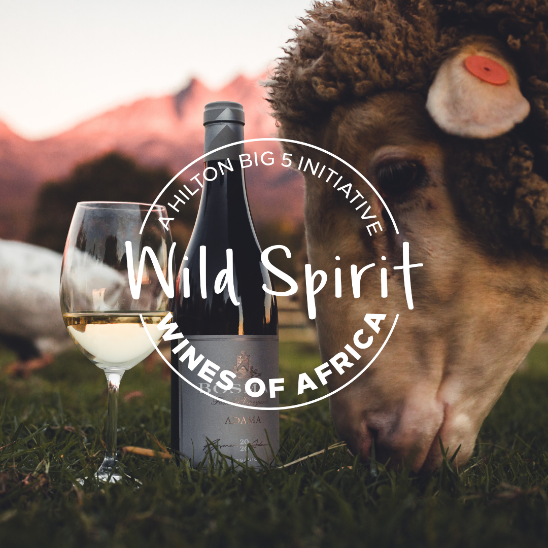 You are currently viewing <strong>Hilton Reinforces Commitment to Sustainability and Local Craftsmanship with the Launch of Wild Spirit Wines of Africa</strong>
