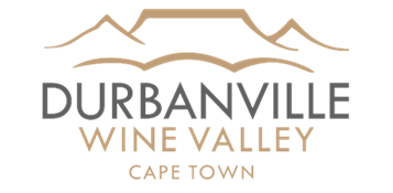 You are currently viewing <strong>DURBANVILLE WINE VALLEY CELEBRATES A STELLAR YEAR</strong>