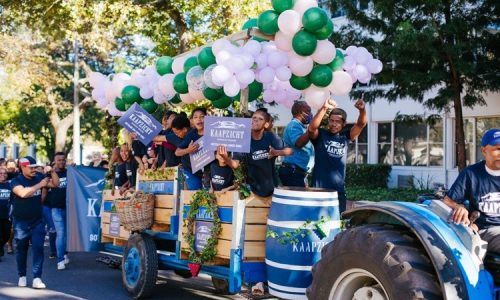 Make a beeline for the beloved Stellenbosch Wine Harvest Parade
